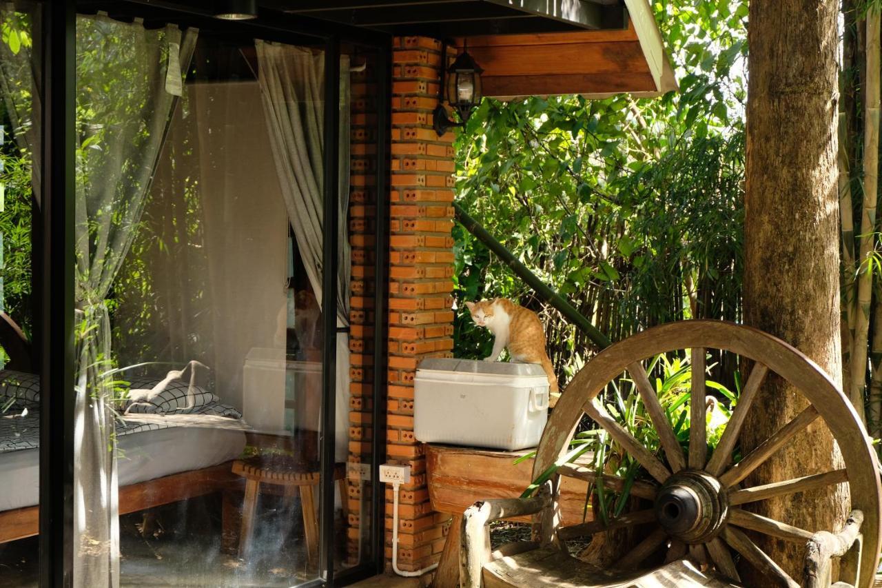 Ashi Guesthouse Chiangdao Chiang Dao Ngoại thất bức ảnh